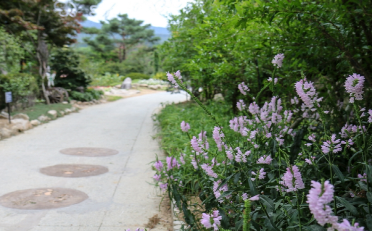 대구 네이처파크 플라워가든