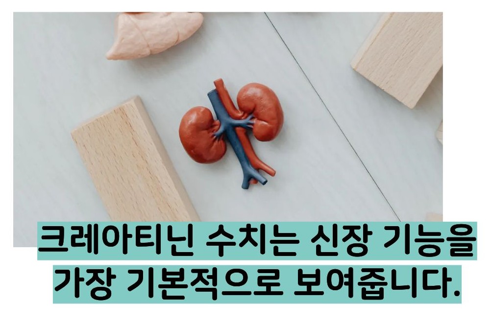 크레아티닌 정상수치