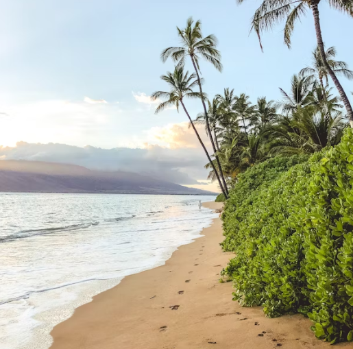 하와이 여행 추천 일정 – 4박5일 렌트카 여행 코스