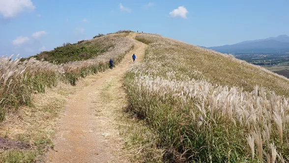 제주 새별오름 오르기 좋은 시간과 주변 명소 정리_2