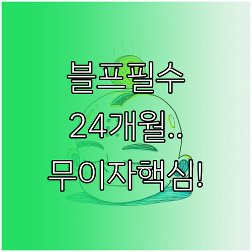 2025 블랙프라이데이 카드사 무이자..