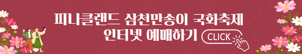 피나클랜드 삼천송이 국화축제