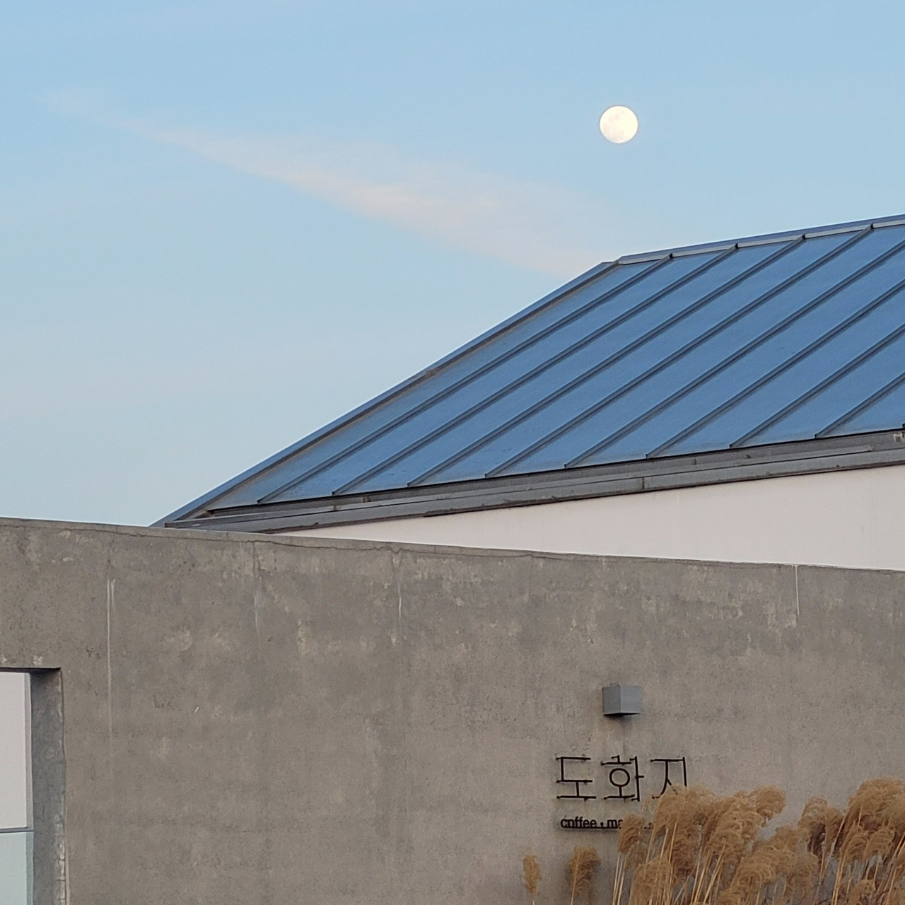 오늘N 이천 도화지카페 복숭아꽃 정원 카페 위치