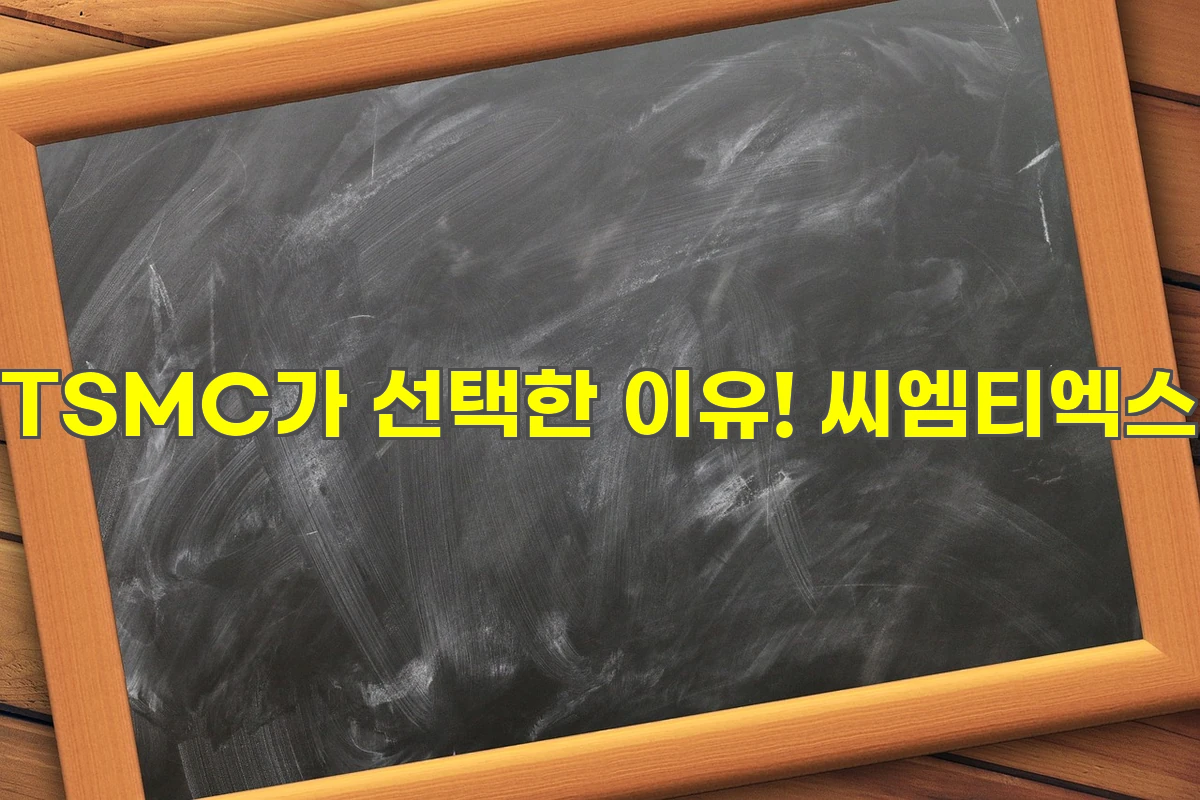 TSMC가 선택한 이유! 씨엠티엑스