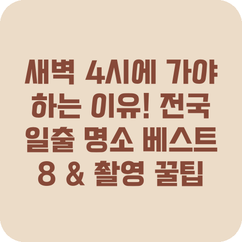 새벽 4시에 가야 하는 이유! 전국 일출 명소 베스트 8 & 촬영 꿀팁