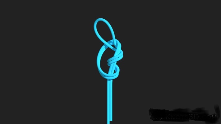 더블 서전 노트 매듭