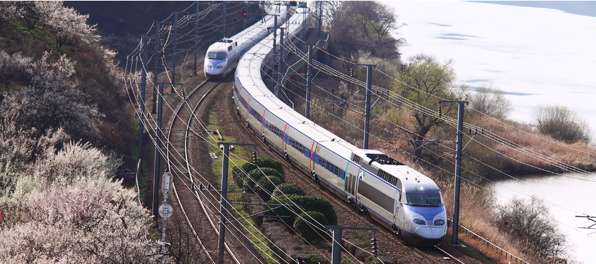 양산시 원동 매화축제
