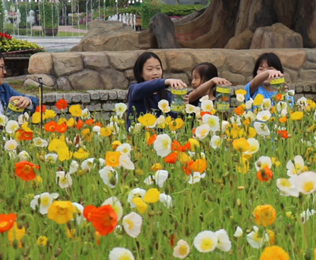 2024 함평 나비축제