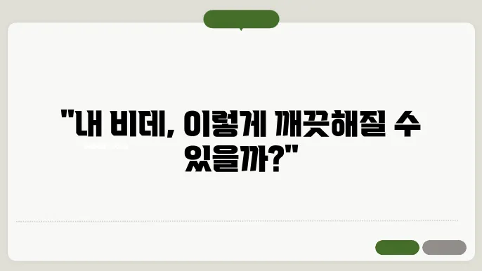 비데 청소법
