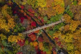 화담숲 모노레일