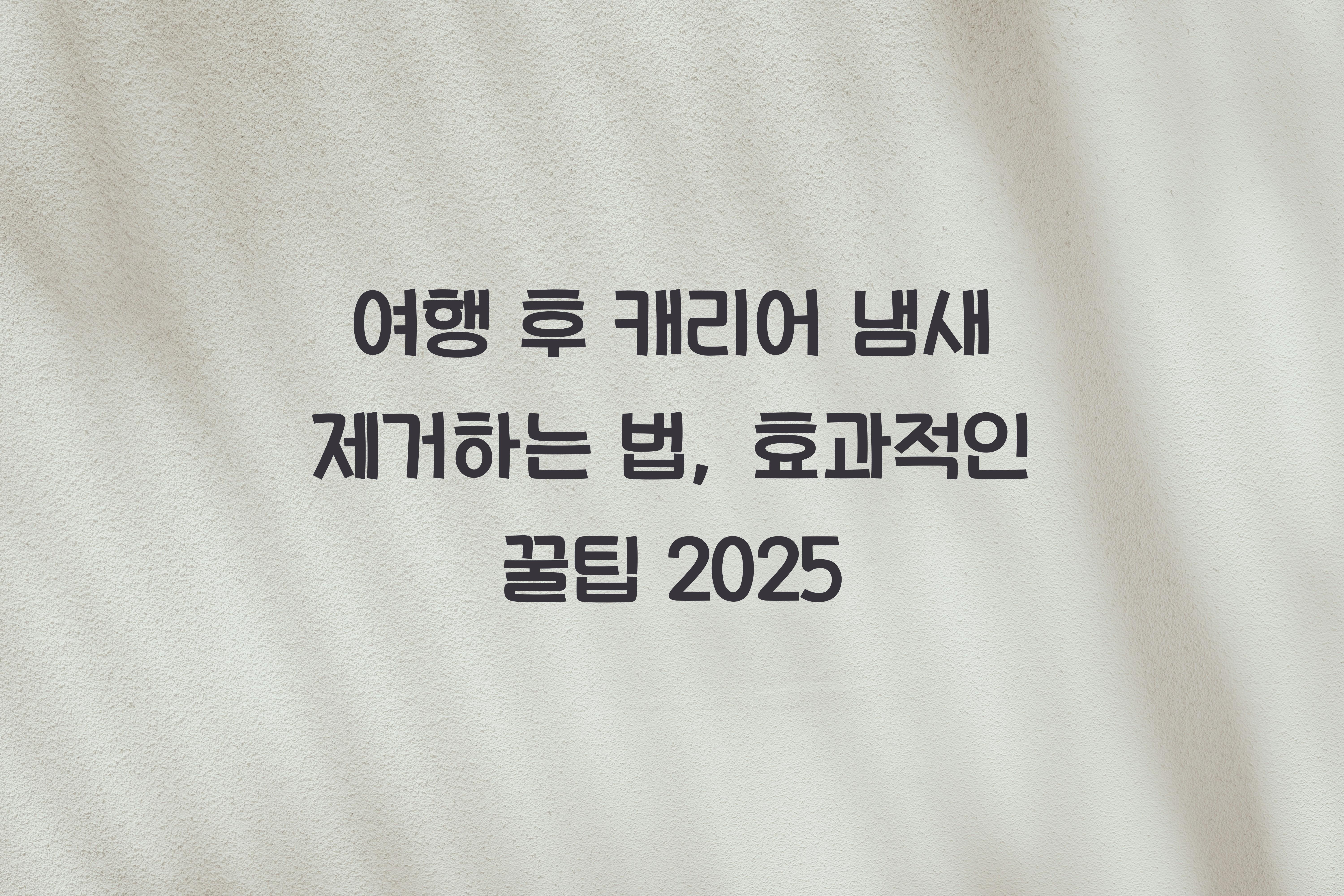 여행 후 캐리어 냄새 제거하는 법