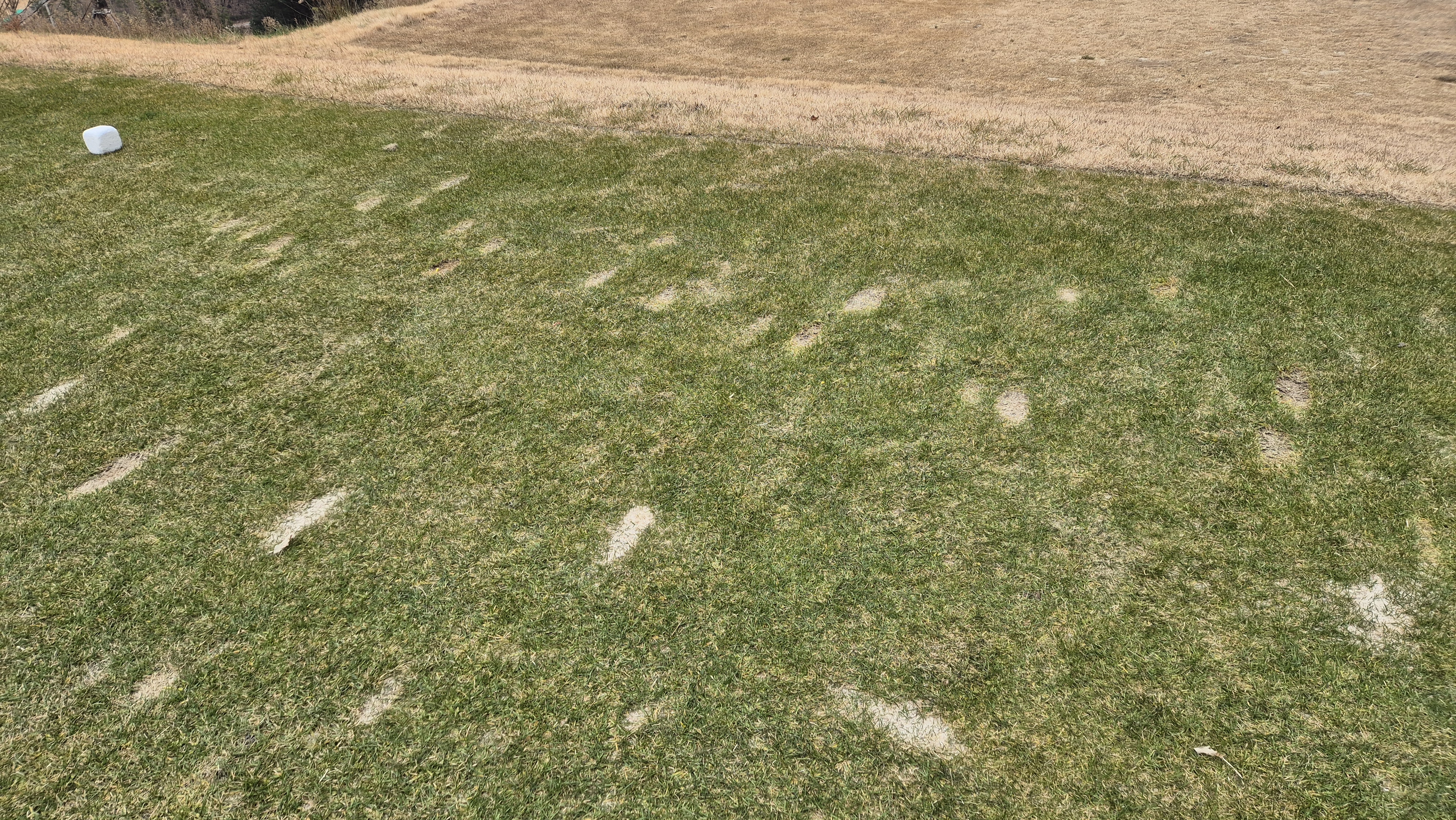 모나크cc 라운드 후기 티잉구역상태