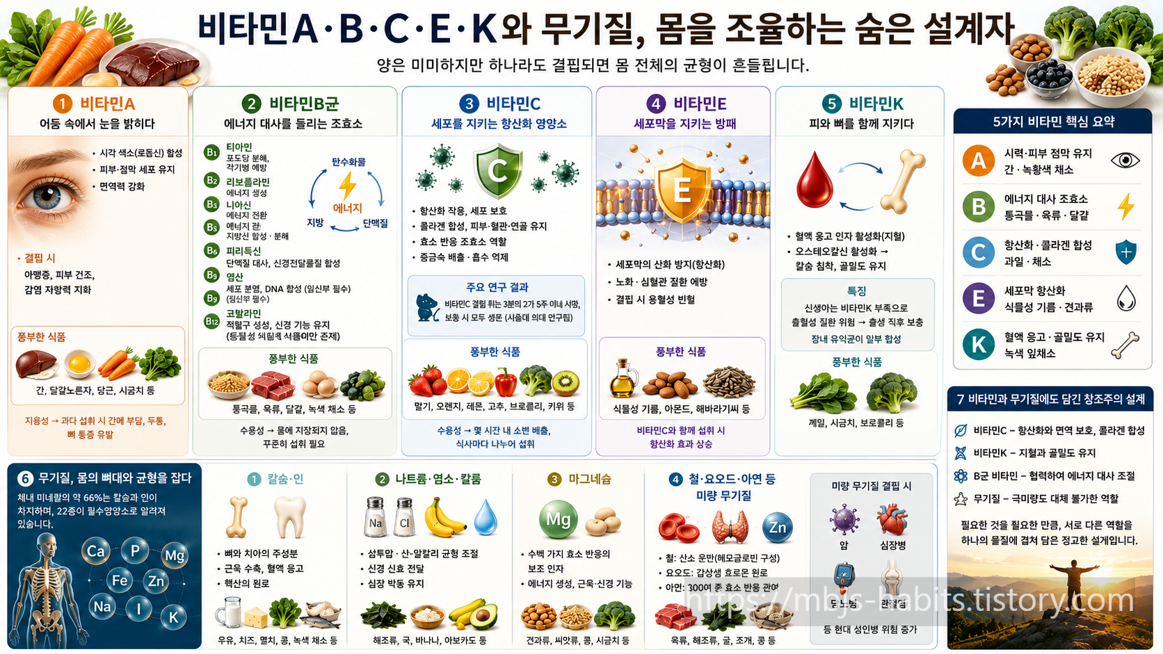 비타민A·B·C·E·K의 역할과 결핍 시 증상, 무기질(칼슘·인·나트륨·마그네슘·철·요오드 등)의 기능을 정리한 인포그래픽