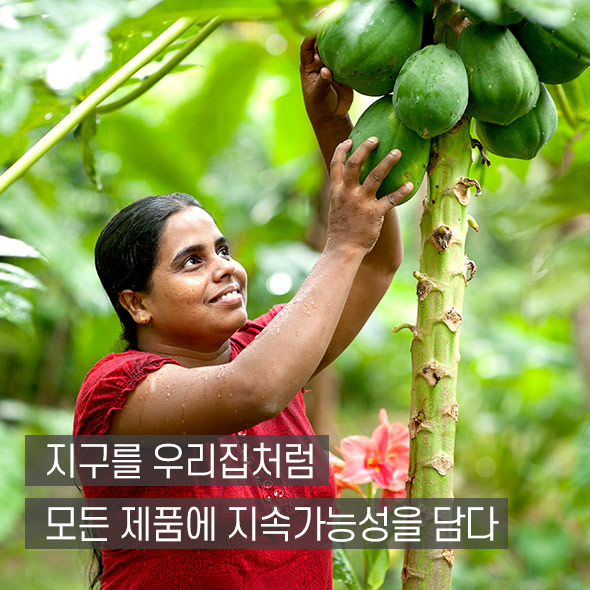 닥터 브로너스