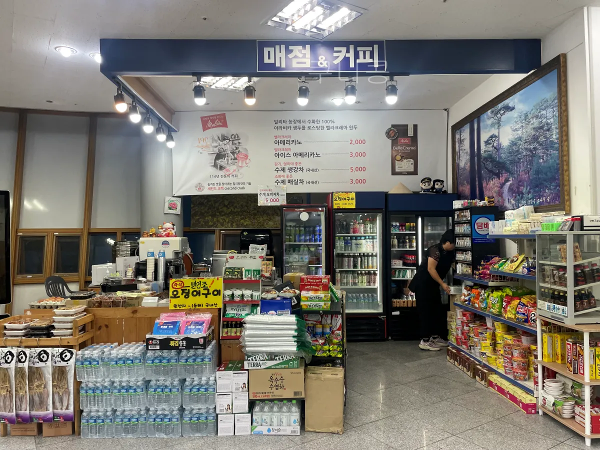 울릉도-2박3일-가족여행-후포항-울릉썬플라워-크루즈-차량선적-배편가격-발권꿀팁