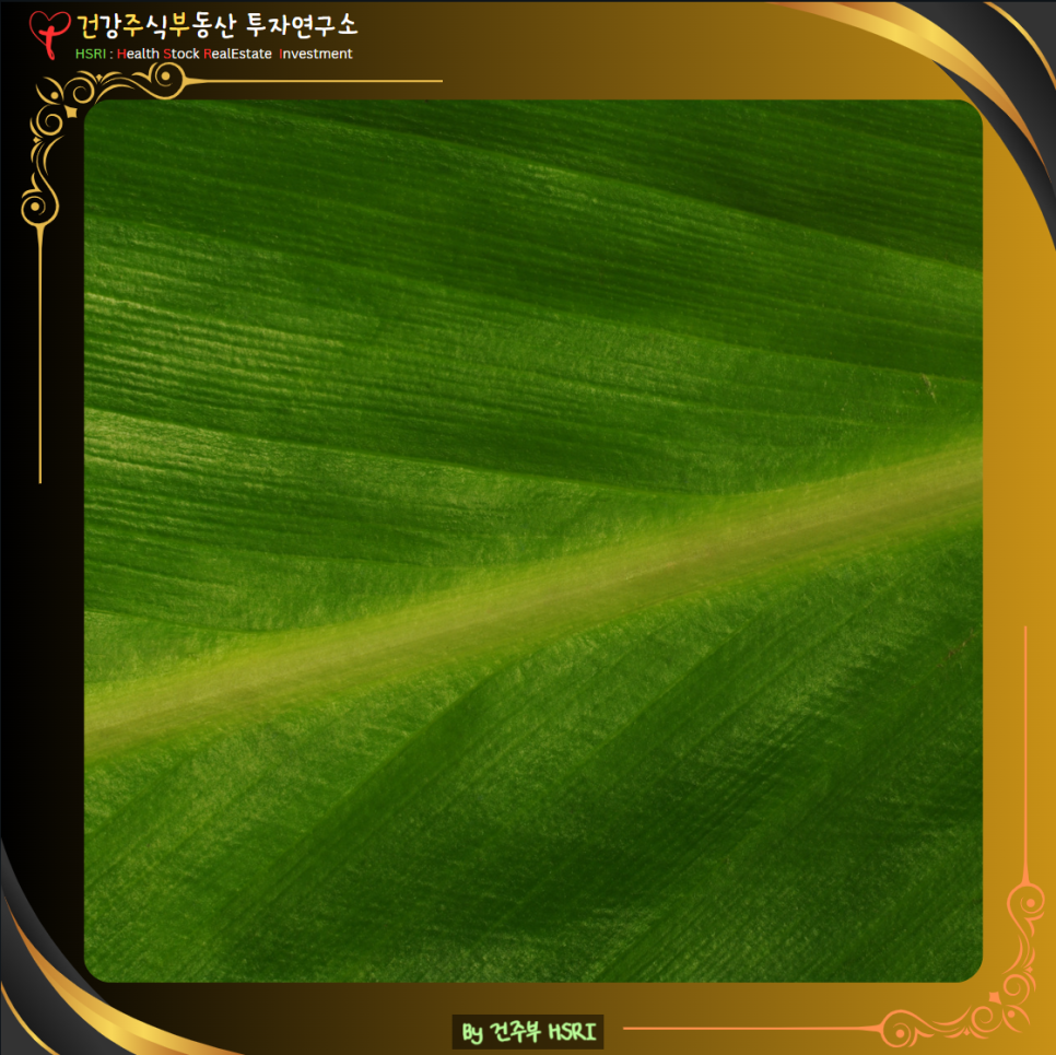 빌립보서 4장 묵상 : 진정한 평안은 어디서?

(글 그림 : 건주부, 그림 출처 : Canva)