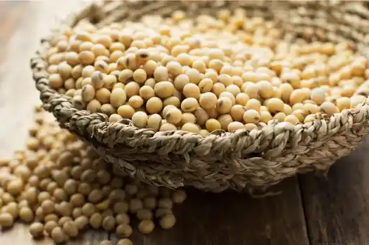 대장암 초기증상 대장암에 좋은 음식 Best 10