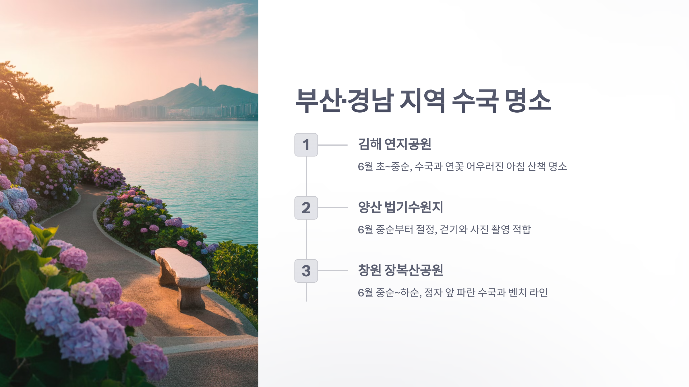 참조-수국-명소-3