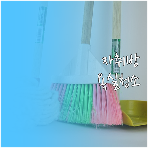 자취방 쾌적 욕실 만들기: 핵심 청소..