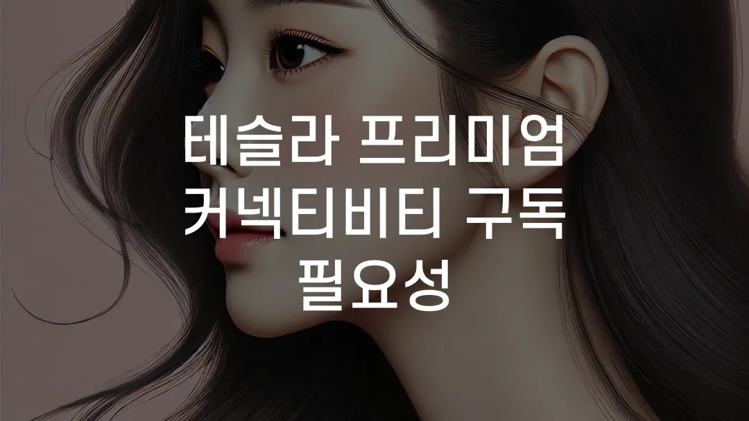 테슬라 프리미엄 커넥티비티 구독 필요성