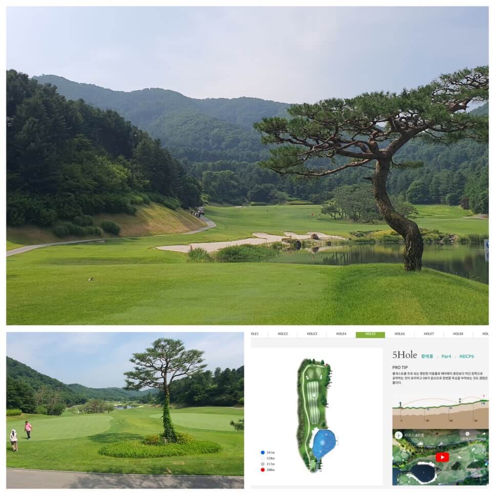 골프장 경험담 광주 더시에나서울cc 오랜 시간 수준 높은 명문의 자리를 지켜온 프레스티지 골프장