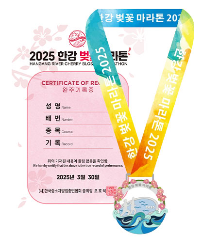 2025 한강 벚꽃마라톤 – 일정, 코스, 참가 방법 총정리