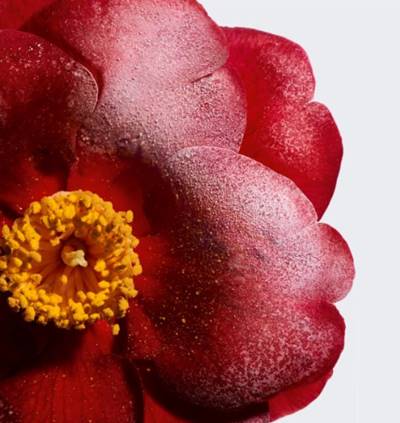 환절기 보습템 추천, 촉촉 스킨케어 TIP