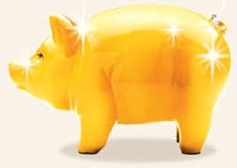 2026년 1월 돼지띠 운세 총운