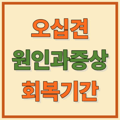 팔이 안 올라간다면 오십견일까? 원인·증상·회복 기간