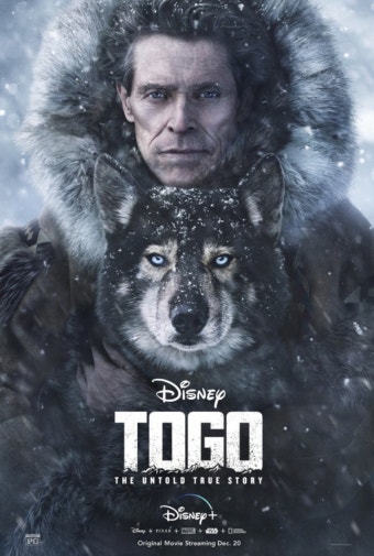 영화 토고 포스터 사진