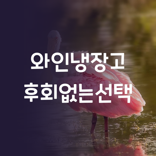 와인 냉장고 똑똑한 선택 가이드 후회..