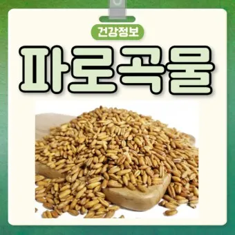 파로 곡물 효능 부작용 먹는 방법_18