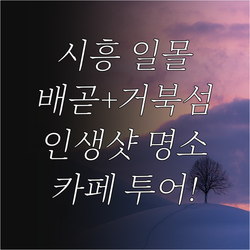 시흥 일몰 명소 배곧한울공원과 거북섬..