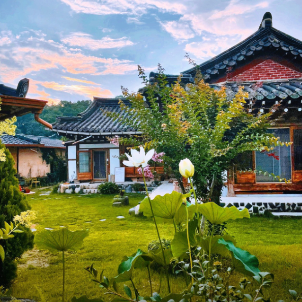 [6시 내고향] 충주 뽕잎 한정식 실희원 예약 정보