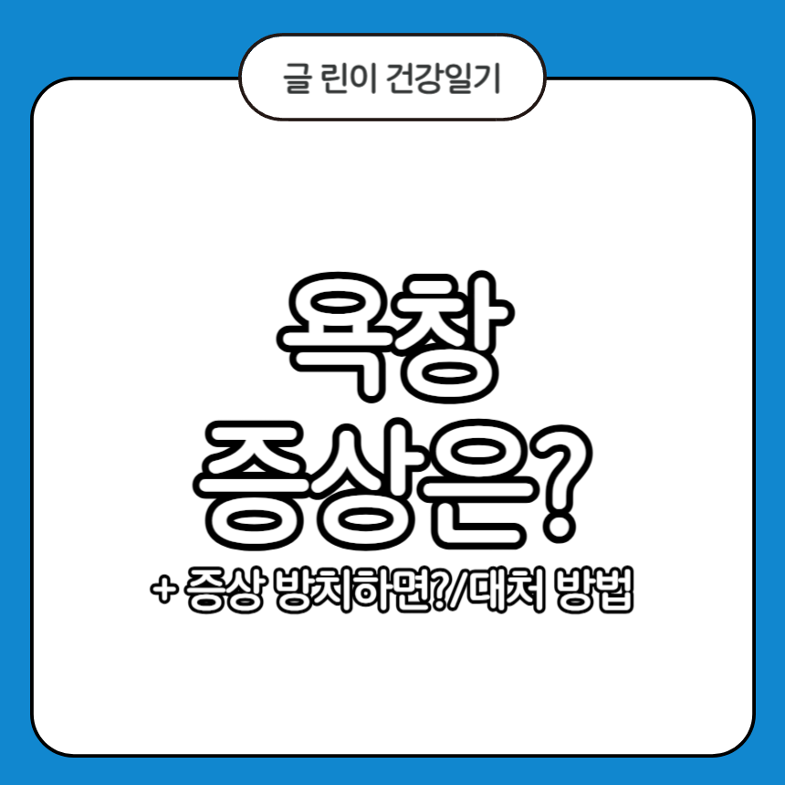 욕창 증상