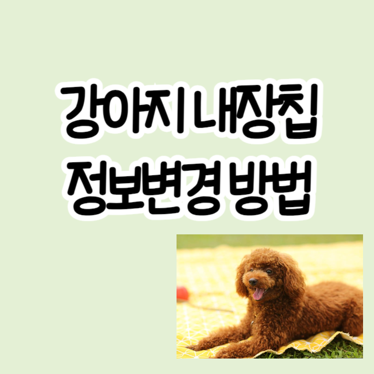 강아지 내장칩 정보변경방법