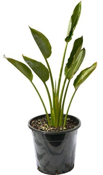 개업 축하 문구