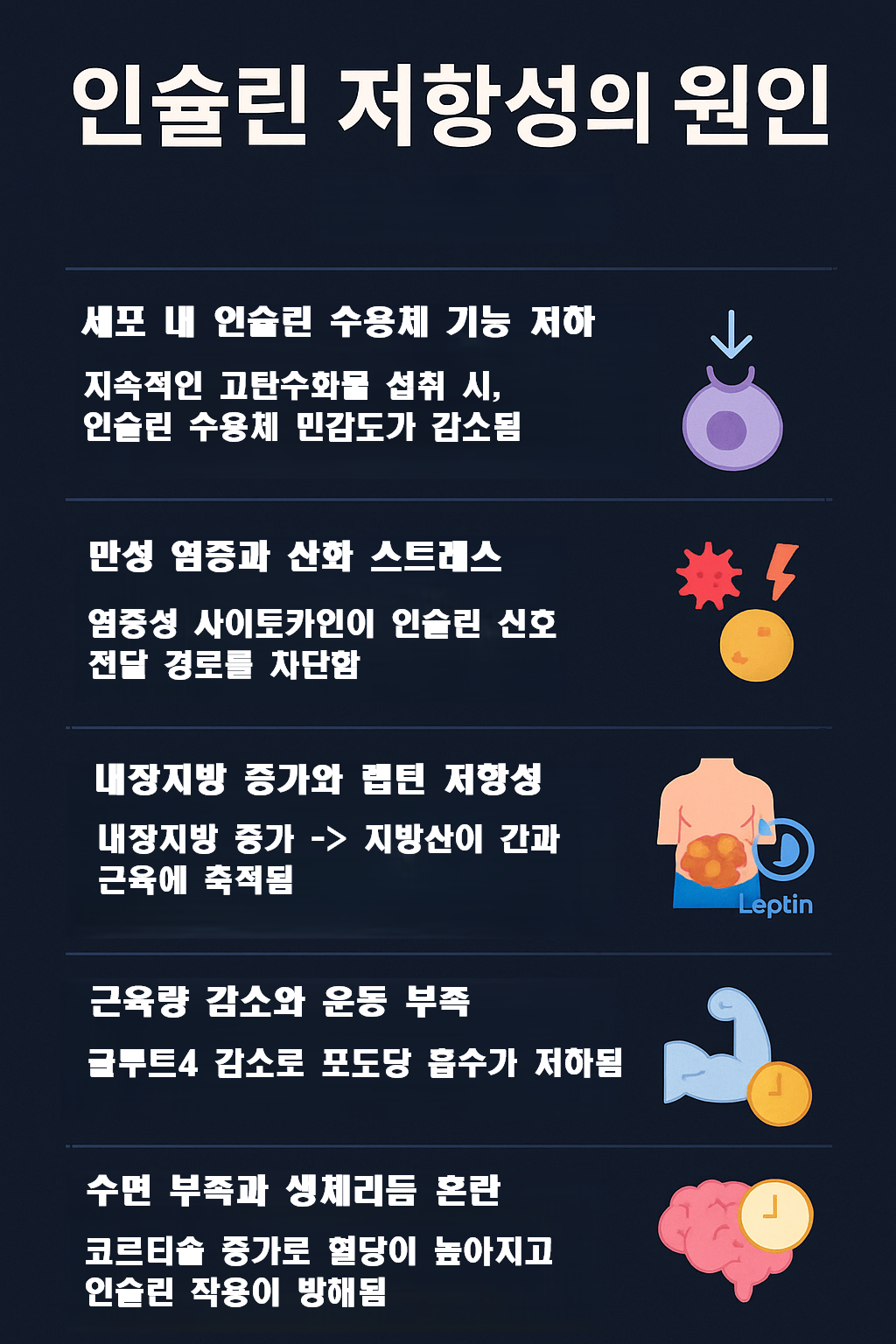 인슐린 저항성 설명