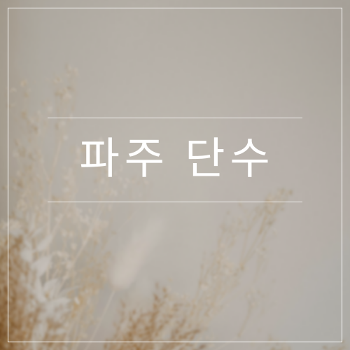 파주 단수, 갑작스러운 생활용수 중단에 대비하는 가장 현실적인 방법