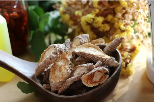 더덕 효능과 부작용&amp;#44; 먹는방법