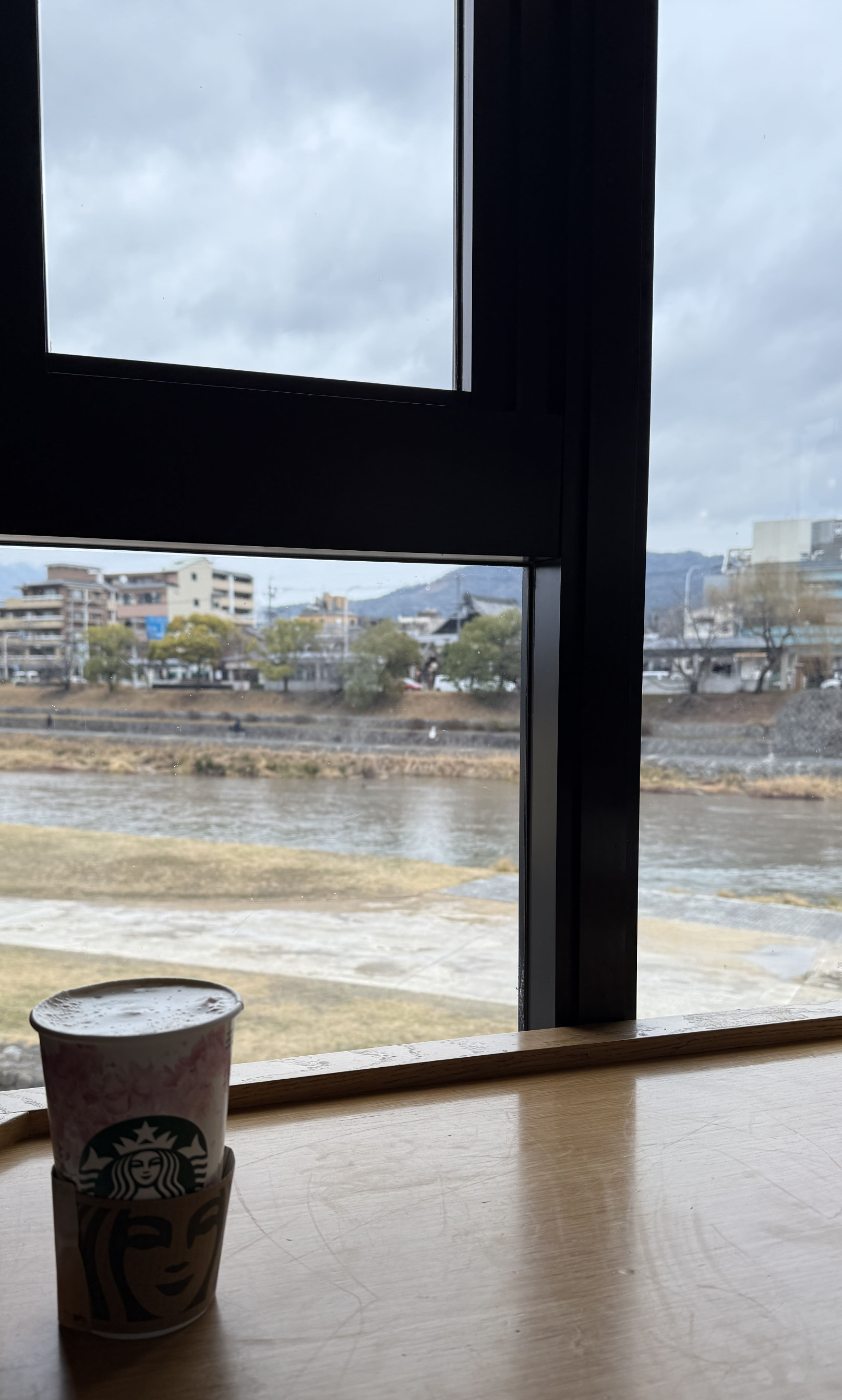 교토 봄여행 일본 스타벅스