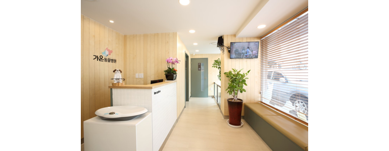 부산 서구 동물병원