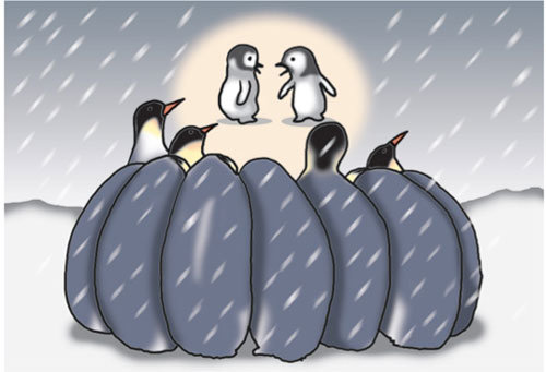 황제펭귄의 허들링