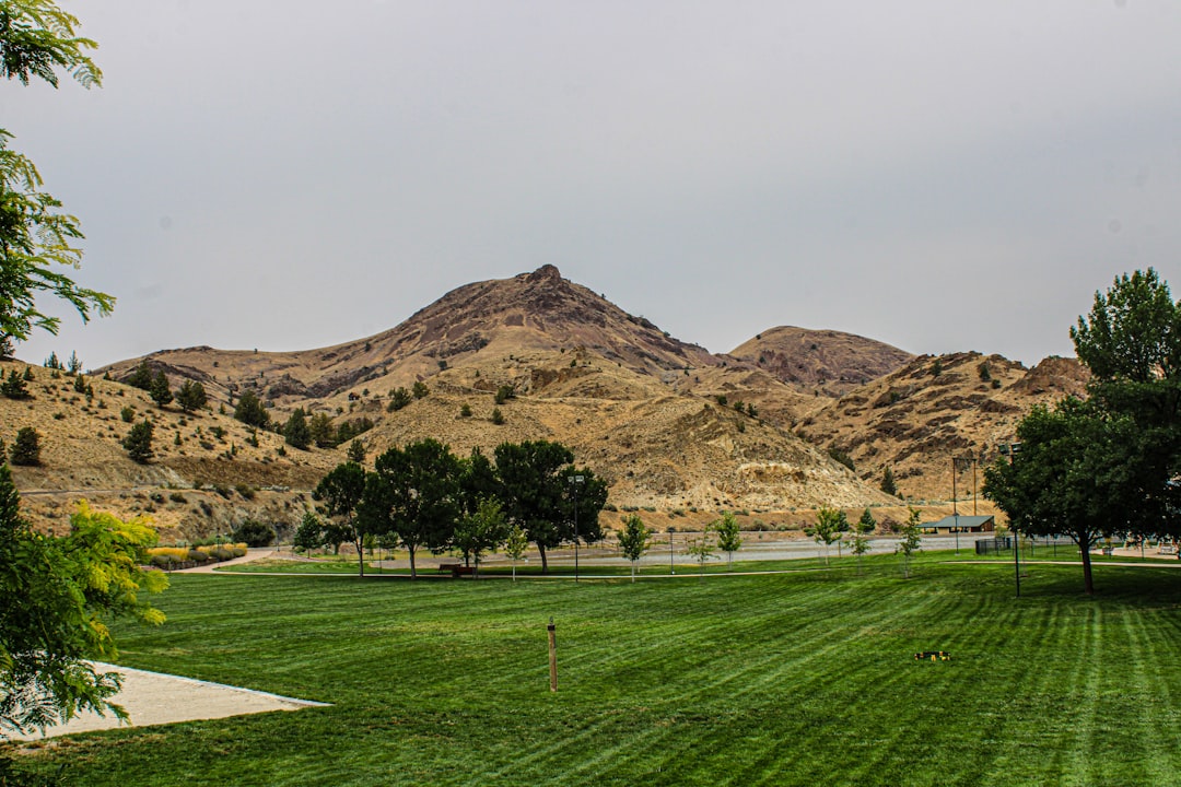 Park golf