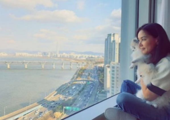 고소영