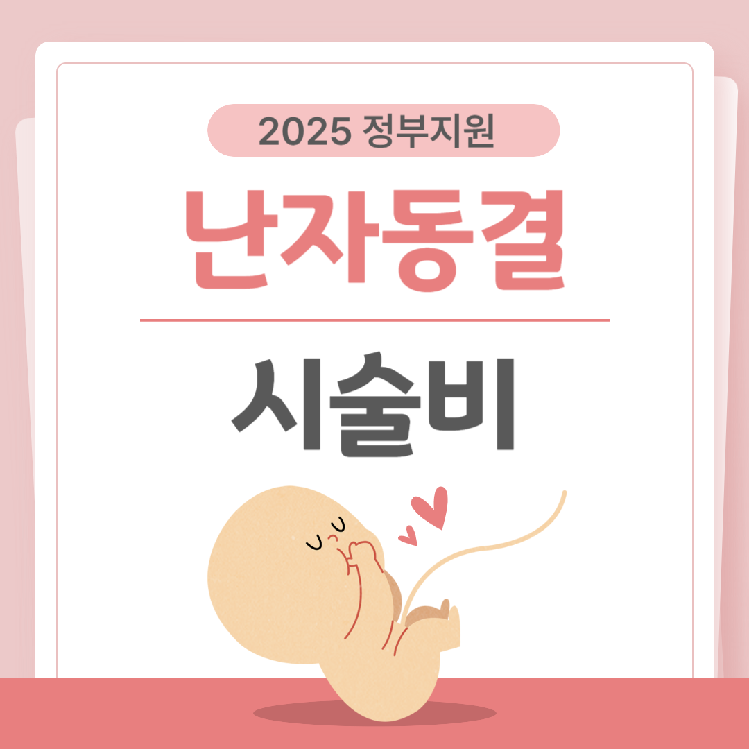 난자동결 시술비 정부 지원