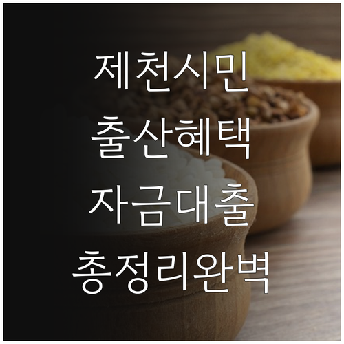 2025 제천시 출산 지원 주택자금 ..