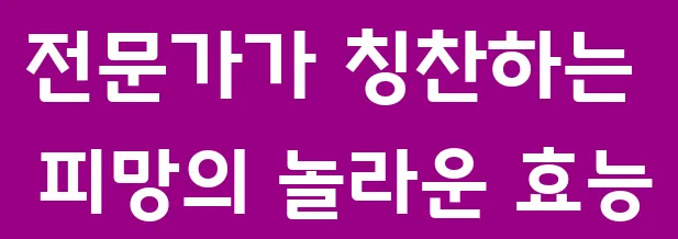전문가가 칭찬하는 피망의 놀라운 효능