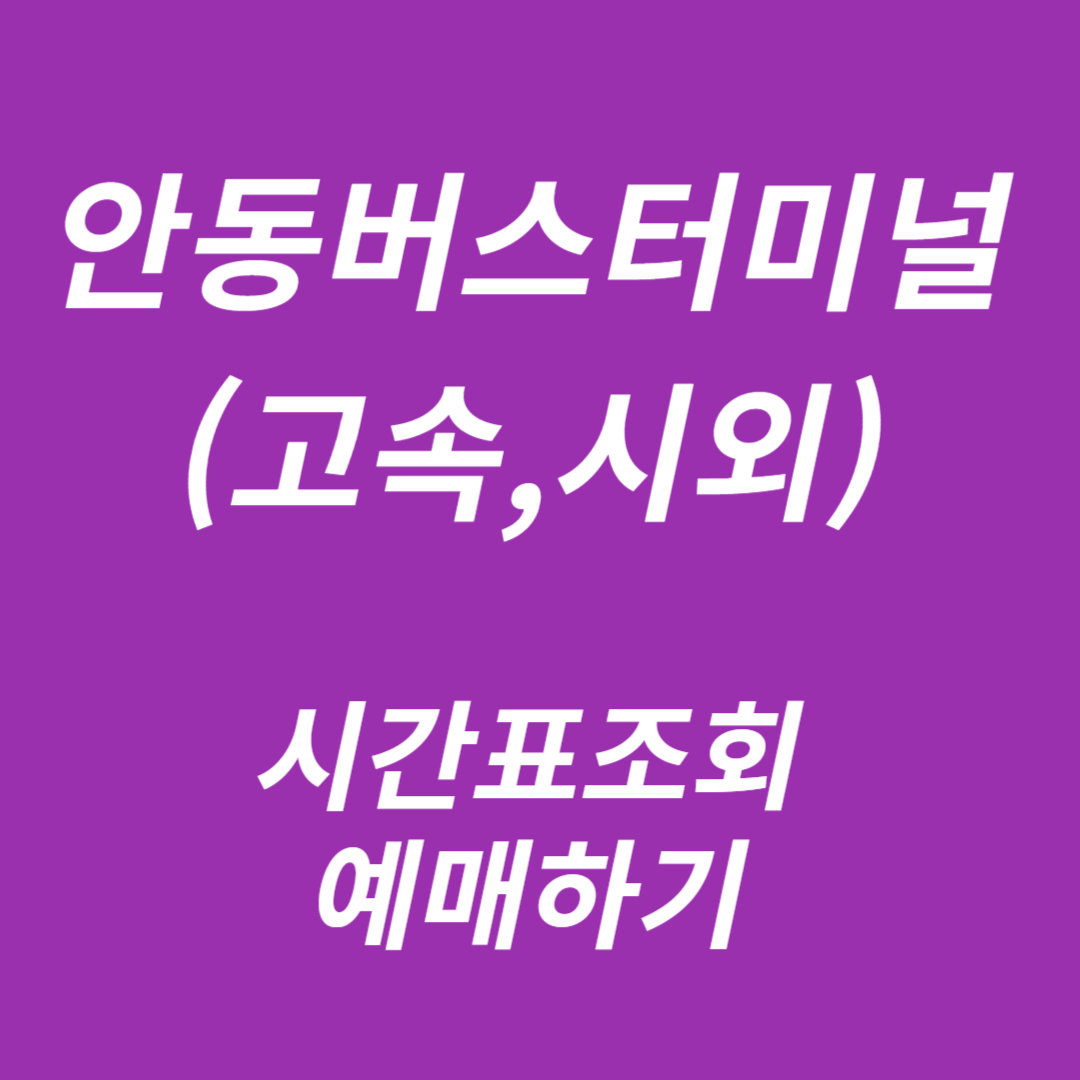 안동버스터미널 시간표조회, 예매