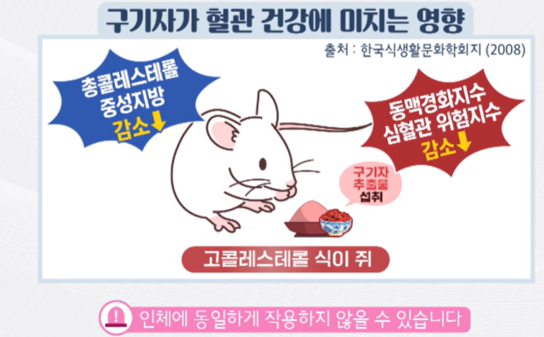구기자 효능